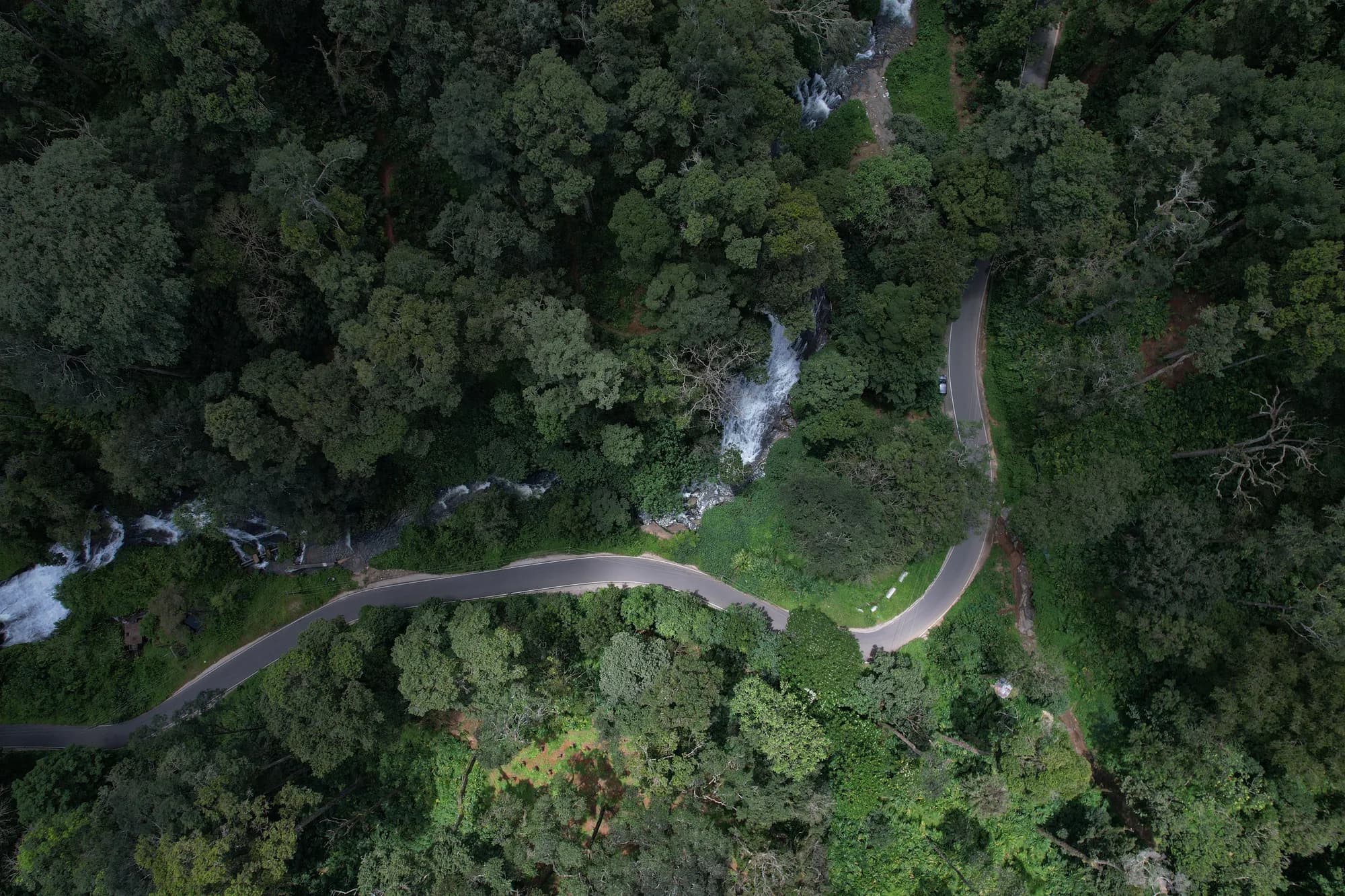 Trails